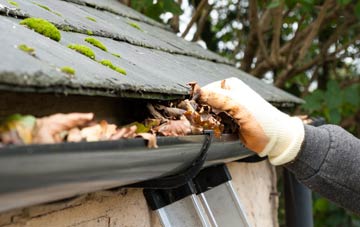 gutter cleaning Loscombe, Dorset