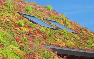 Loscombe living roof systems