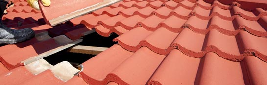compare Loscombe roof repair quotes