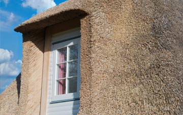Loscombe thatch roof disadvantages