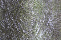 Loscombe fibreglass roof work